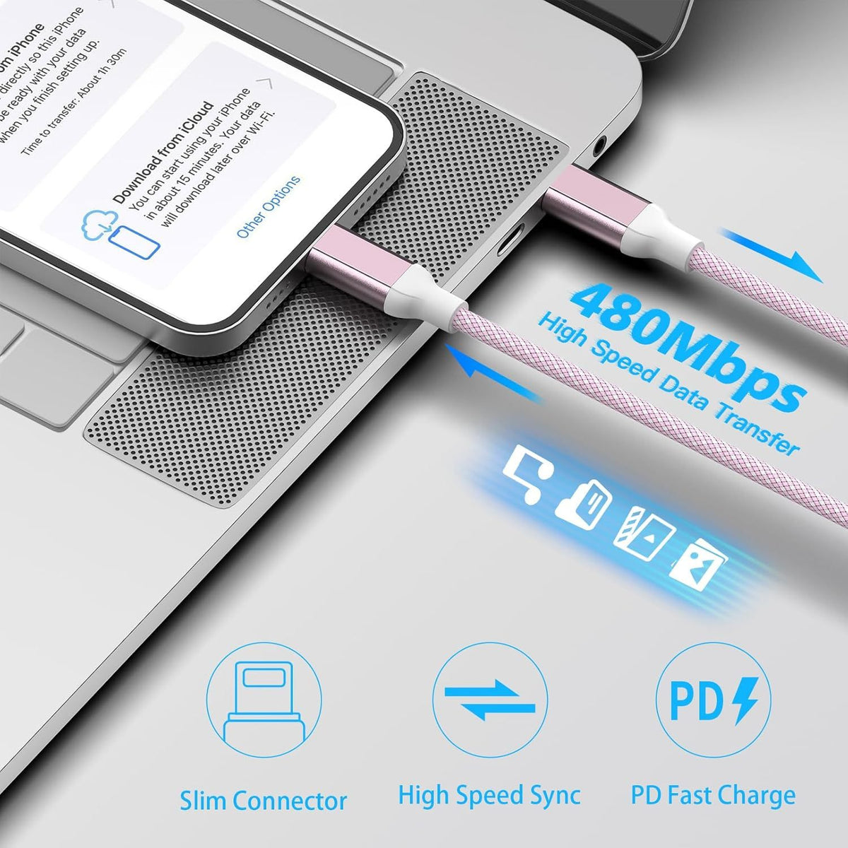 Fast Charging Charger